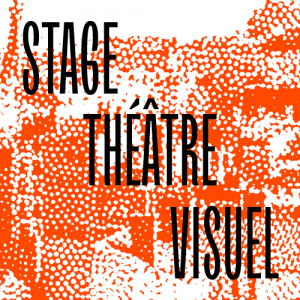 Stage de théâtre visuel