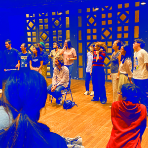 Stage théâtre & langue de bois