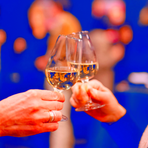 Découverte et dégustation de vins lyonnais